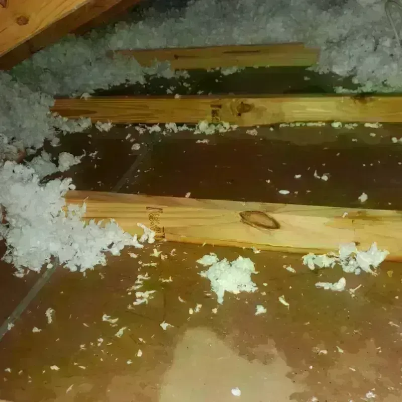 Attic Water Damage in Westwood Lake, FL