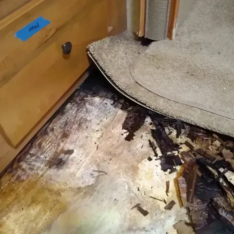 Best Wood Floor Water Damage Service in Westwood Lake, FL